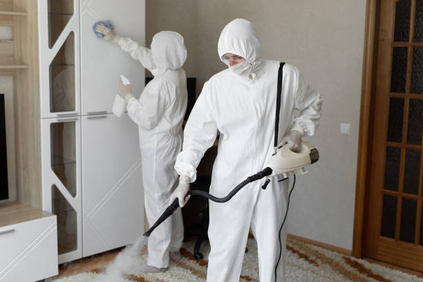 Best Residential Mold Removal  in Lacey, WA